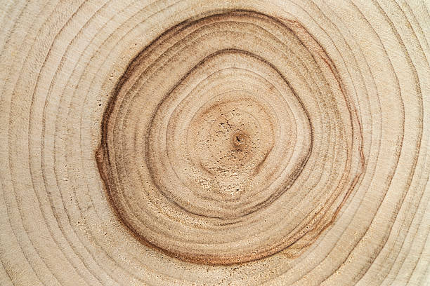 istock round wood textured background for decoration 2180860202
