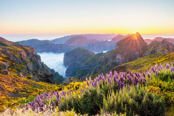 istock View from Pico do Arieiro, Portugal 2180860704