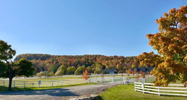 istock Niagara Escarpment in Autumn 2180872130