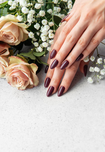 istock Elegant hands with dark manicure resting beside blush roses and white blooms on a light surface 2180893520