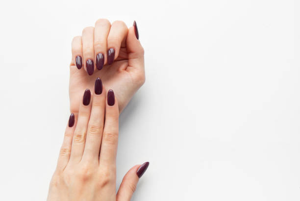 istock Elegant hands showcasing deep purple nail polish against a clean white background during a beauty or grooming session 2180893522