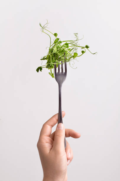 istock Fresh microgreen on fork in female hand over white background 2180894819