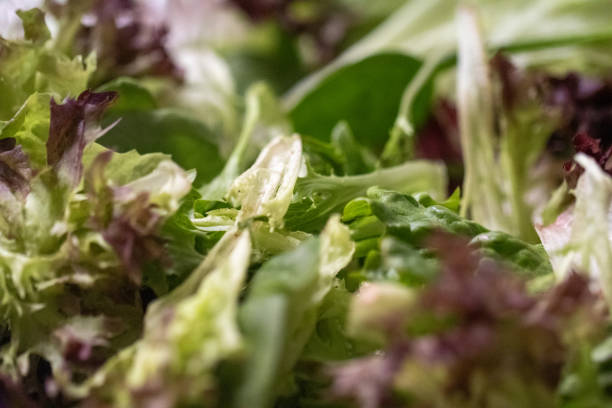 istock Close up of Spring Mix 2180897086