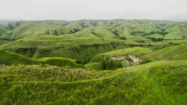 istock Green hills with grass and amazing growing fields and hills at Sumba 2180897260