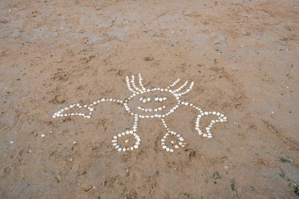 A crab character, drawn with shells on the sand of a seaside beach