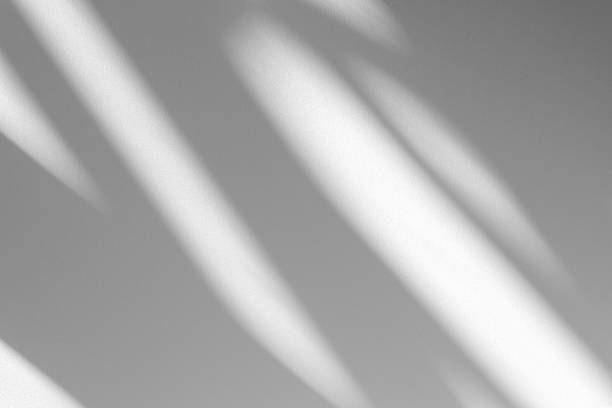 istock Wall interior background, studio and backdrops show products.with shadow from window color white . background for text insertion and presentation product 2180906982