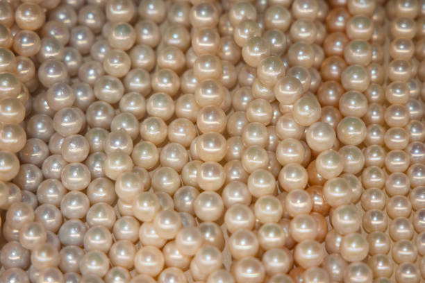 Pile of pearls on the white background.