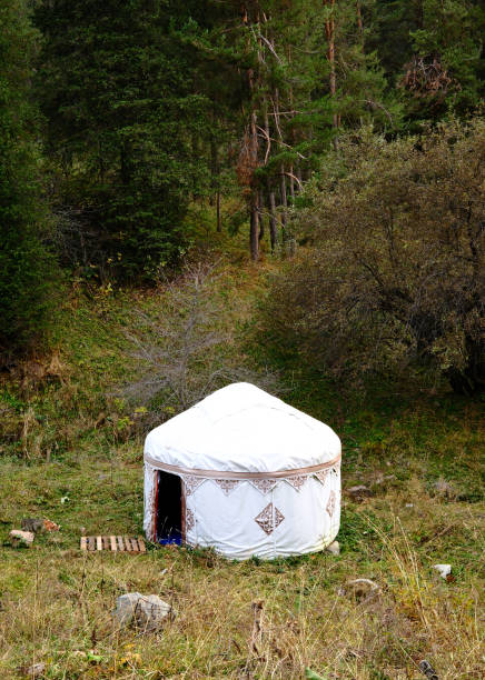 istock Traditional white kazakh yurt in mountainside meadow, eco-tourism accommodation surrounded by nature 2180908952