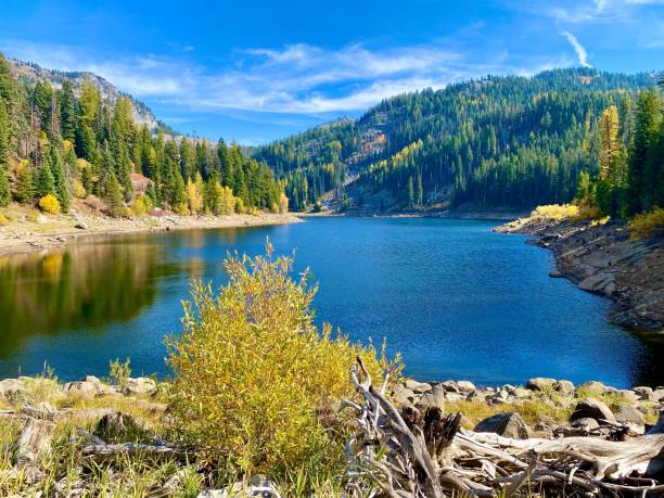 istock Lake with Pine Trees in Autumn 2180911827