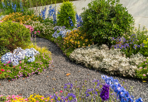 istock colorful flowers with rock path leading through a flower garden 2180914363