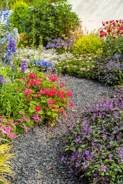 istock colorful flowers with rock path leading through a flower garden 2180914377