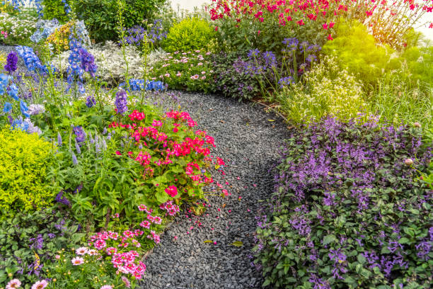 istock colorful flowers with rock path leading through a flower garden 2180914555