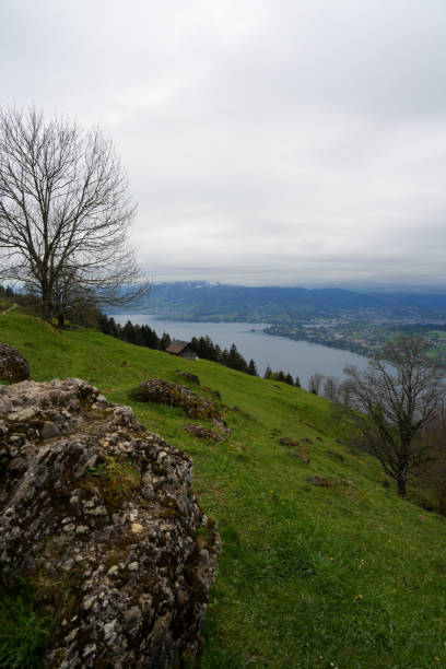 A peaceful landscape overlooking a lake with distant mountains under a cloudy sky, featuring green hills and bare trees in the foreground.
