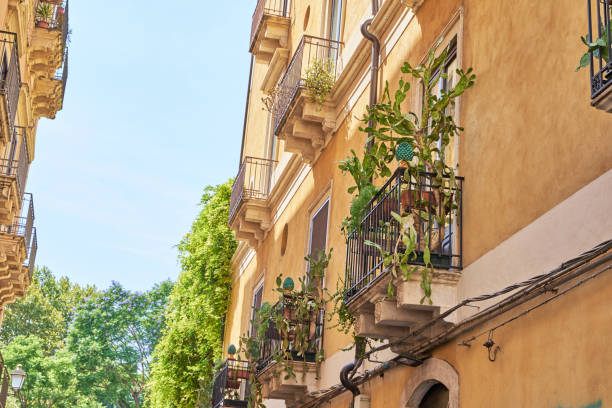 istock View of the terrace with cactus 2180921241