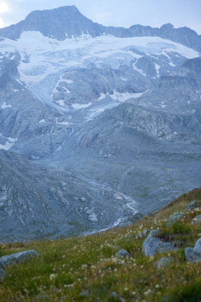 istock Alpine Meadow with Glacier-Covered Peaks at Dusk 2180921723