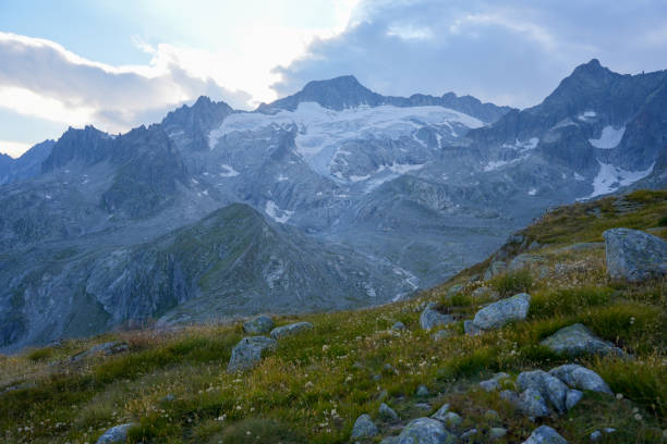 An alpine meadow with rocks and wildflowers, leading up to dramatic, glacier-covered mountain peaks under a moody evening sky.