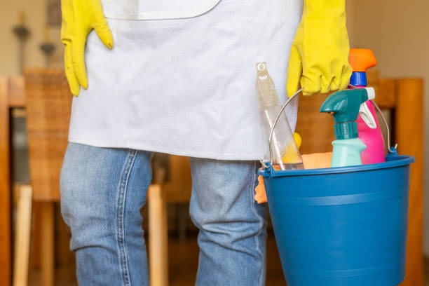 Professional Home Cleaning Worker Wearing Gloves Holding Blue Bucket With Cleaning Products And Spray Bottles For Thorough Household Sanitation And Efficient Dust Removal In Residential Environment Professional Home Cleaning Worker Wearing Gloves Holding Blue Bucket With Cleaning Products And Spray Bottles For Thorough Household Sanitation And Efficient Dust Removal In Residential Environment deep cleaning services stock pictures, royalty-free photos & images