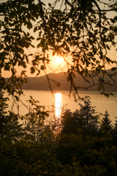 istock Golden Sunset Over Lake with Silhouetted Trees 2180922143