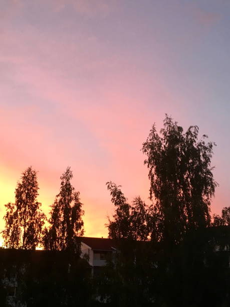 Fiery Sunset Behind Silhouetted Trees: A Vibrant Evening Sky
