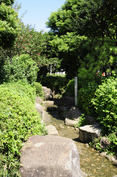 istock The stream in Saigoyama Park 2180924562