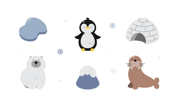 Cute arctic set. Penguin, polar bear, walrus, ice igloo, floating ice, snowy mountain. Arctic animals. Cartoon flat vector illustration. Elements for printing, poster, card.