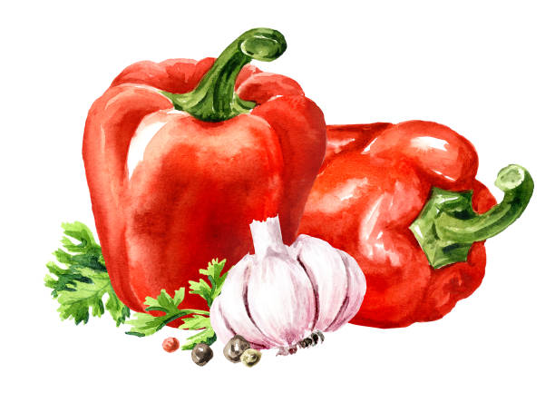 istock Sweet red bell pepper with garlic and herbs, Watercolor hand painted illustration, isolated on white background 2180927070