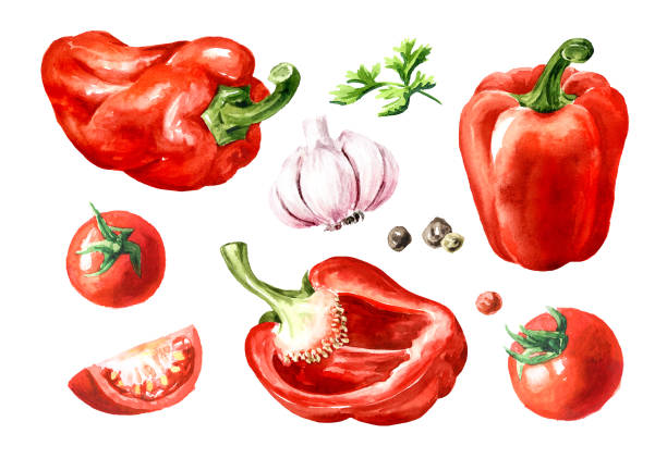 istock Sweet red bell pepper with vegetables and herbs, Watercolor hand painted illustration isolated on white background 2180927101