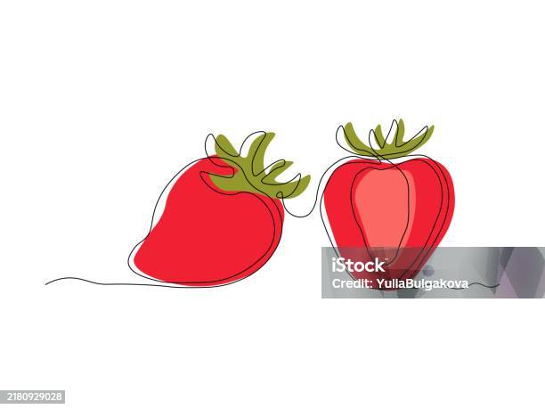 Two Berry Drawing Berry Strawberry And Slice Continuous Single Line Art Drawing Sketch ...