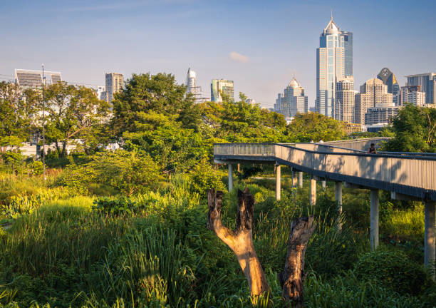 Benjakitti park in the heart of Bangkok city Thailand