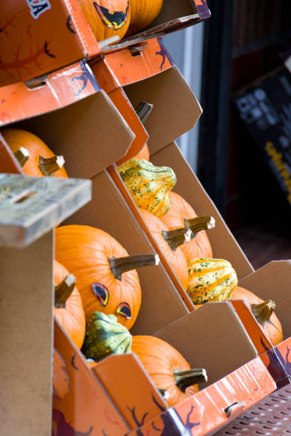 istock A pile of orange pumpkins with a Halloween theme 2180931987