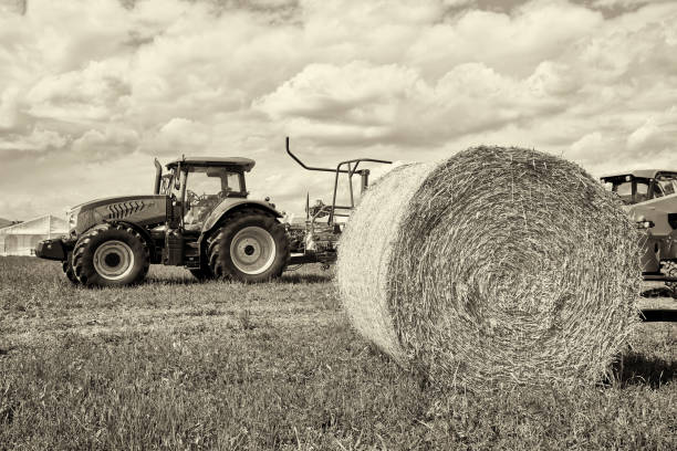 Tractors for agricultural and sheaf of straw on field
