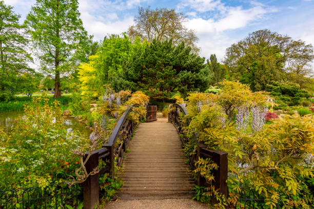 Garden pond with small bridge and trees