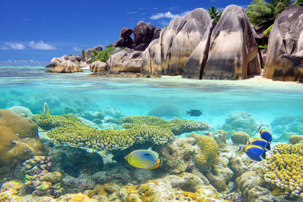 istock Split shot of tropical paradise 2180935504