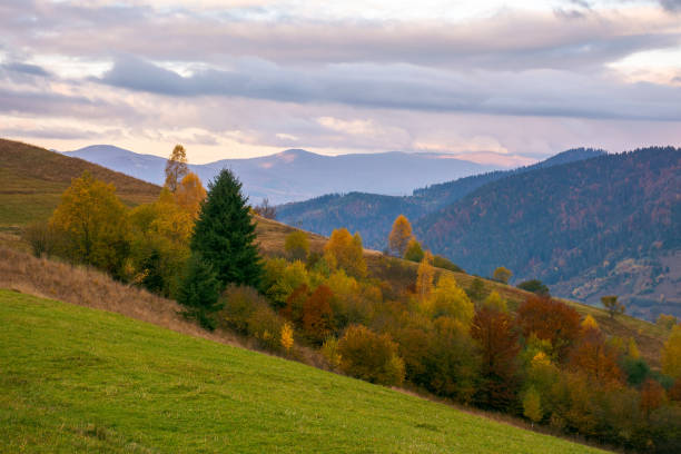 istock rural area of carpathian mountains in autumn 2180936656