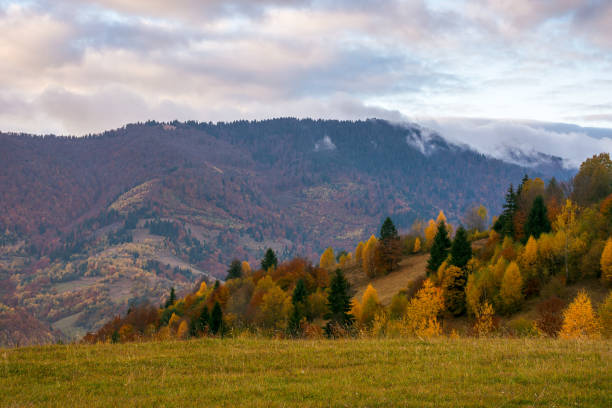 istock rural area of carpathian mountains in autumn 2180936660