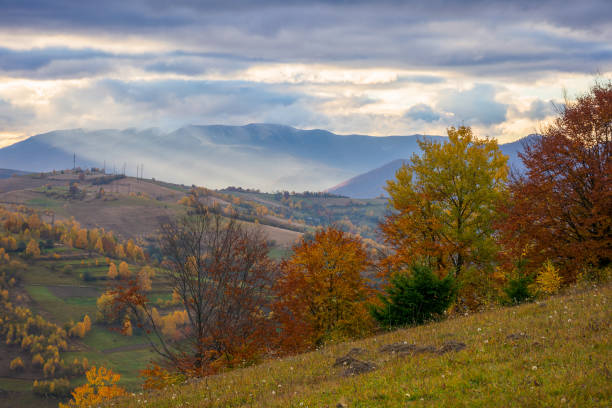 istock rural area of carpathian mountains in autumn 2180936678