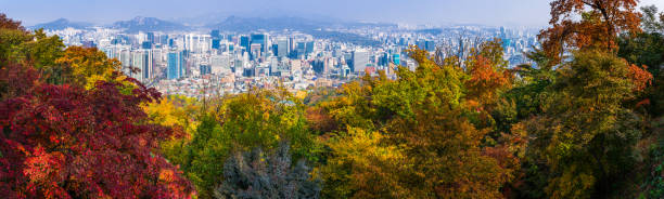 Golden Fall foliage Autumn leaves in forest overlooking downtown cityscape of Seoul, South Korea.