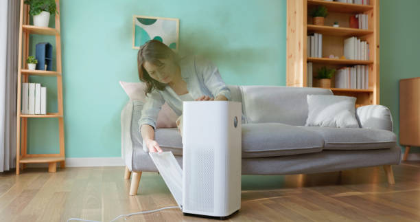 istock woman check dirty air purifier 2180951121