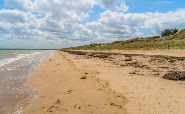 istock Utah Beach in France 2180951862