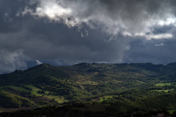 wooded hill lit from the side under a leaden sky