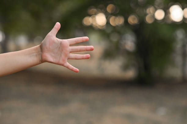 istock the hand is a palm with the fingers spread out. The concept 2180952783