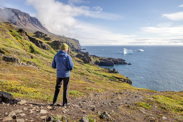 Tourist looking over Disko Bay Qeqertarsuaq, Godhavn, Disko Island, Greenland, Denmark - August 25th 2024: Tourist admiring the view over the bay with icebergs and surrounded by mountains disko bay stock pictures, royalty-free photos & images