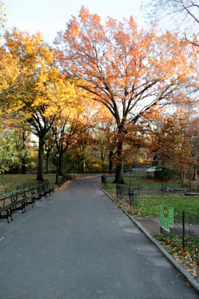 istock Autumn Serenity in the Park 2180954428