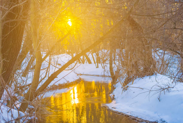 calm river flow through winter snowbound forest at the sunset