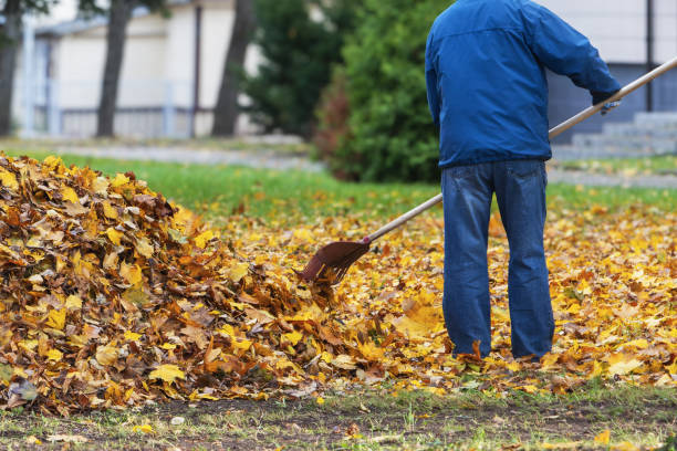istock A man rakes fallen leaves in the park during autumn 2180959893