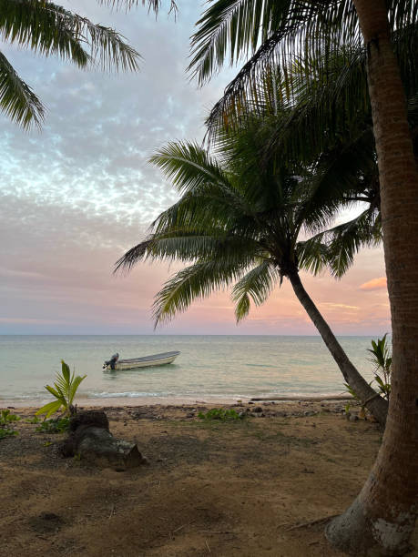 istock Beach with boat and palm tree in Fiji 2180961000