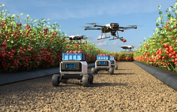 istock Drone is picking tomatoes in a tomato garden, Agricultural robots work in smart farms, Smart agriculture farming concept. 3D illustration 2180976457