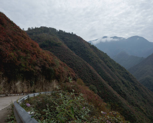 Red leaves in Shanjiaping
