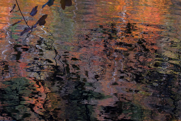 istock Water reflection of an autumn forrest in sunset 2180980598