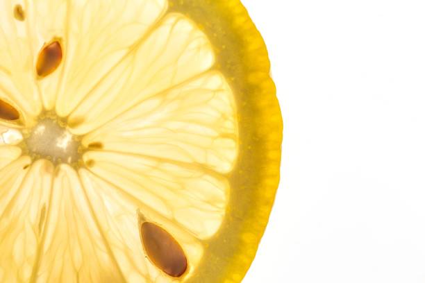 Close-up of a lemon slice with visible seeds